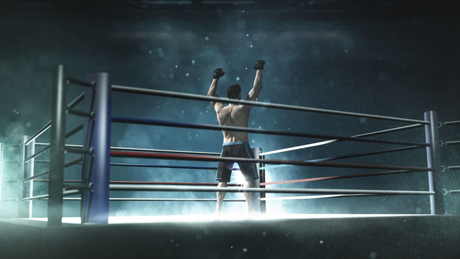 Upcoming Boxing Matches: Ticket Information
