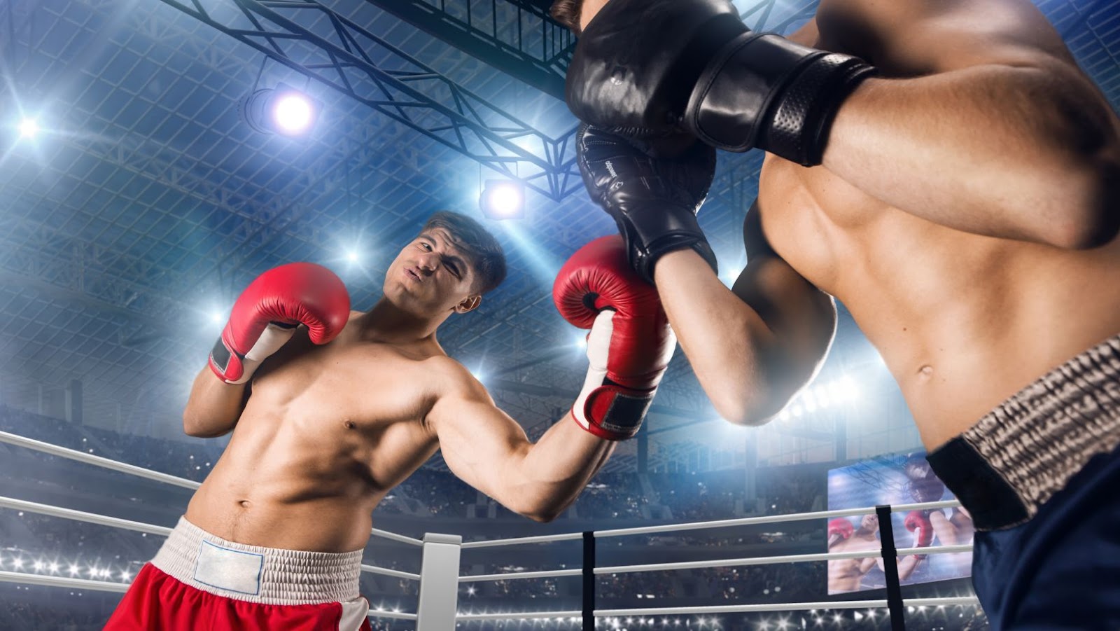 The YouTube vs TikTok Boxing Match