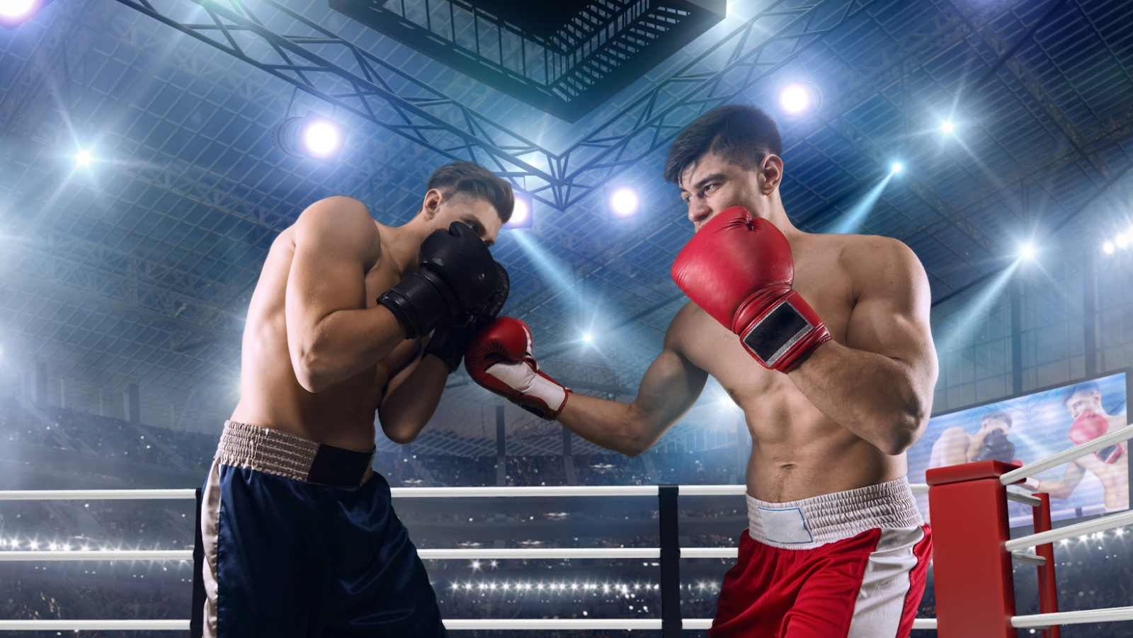 TikTok vs YouTube: Who Will Win the Boxing Schedule?